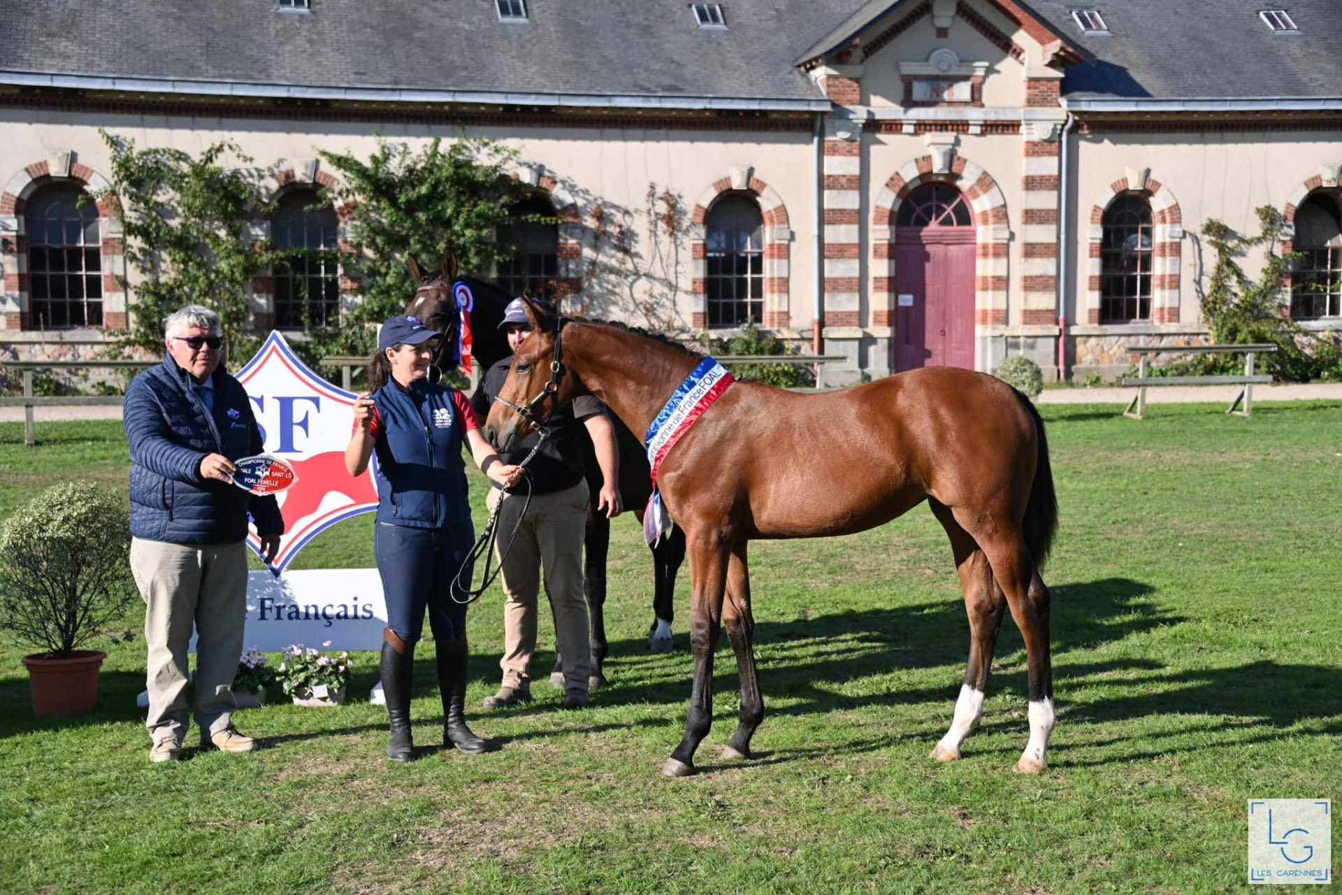 Pouliche baie présentée avec une écharpe tricolore « Championne de France Foal » au Championnat de France Selle Français de Saint-Lô, sa mère tenue en main derrière elle