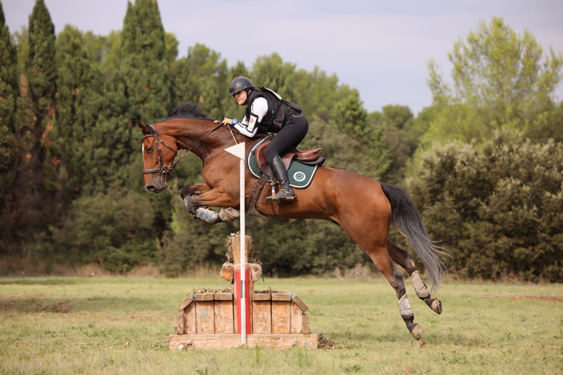 Cavalière en gilet de protection noir franchissant un obstacle de cross en bois avec son cheval bai dans une prairie