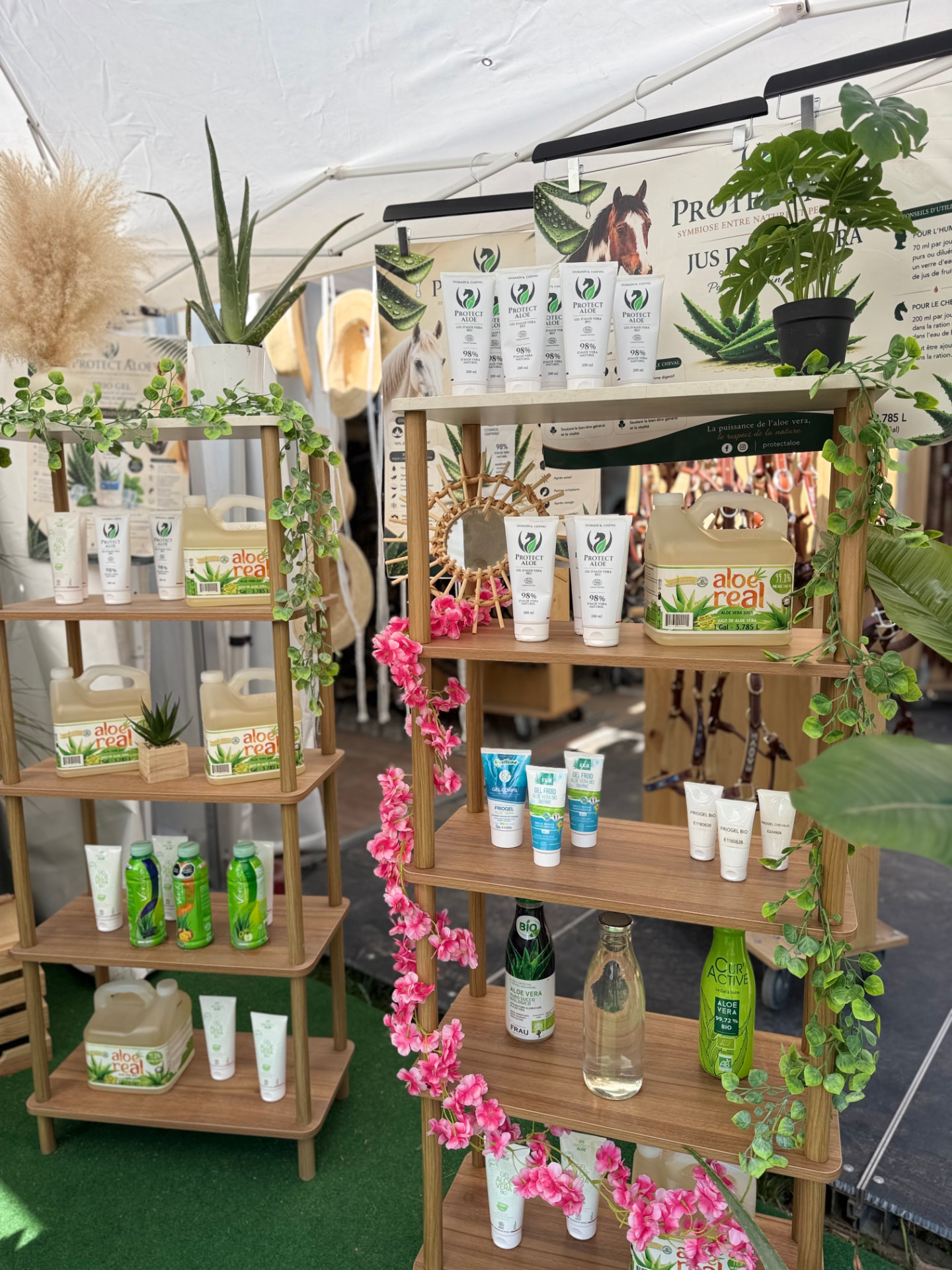 Nos rayonnages : gel d’aloe vera Protect Aloe, tubes de gel froid et bidons de jus d’aloe vera