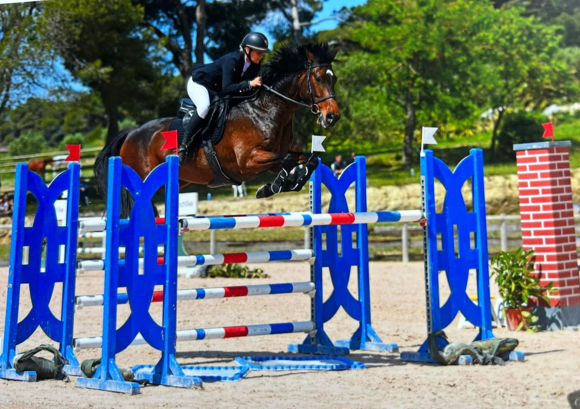 Cavalière en veste noire franchissant un oxer bleu, rouge et blanc avec sa jument baie en concours de saut d’obstacles